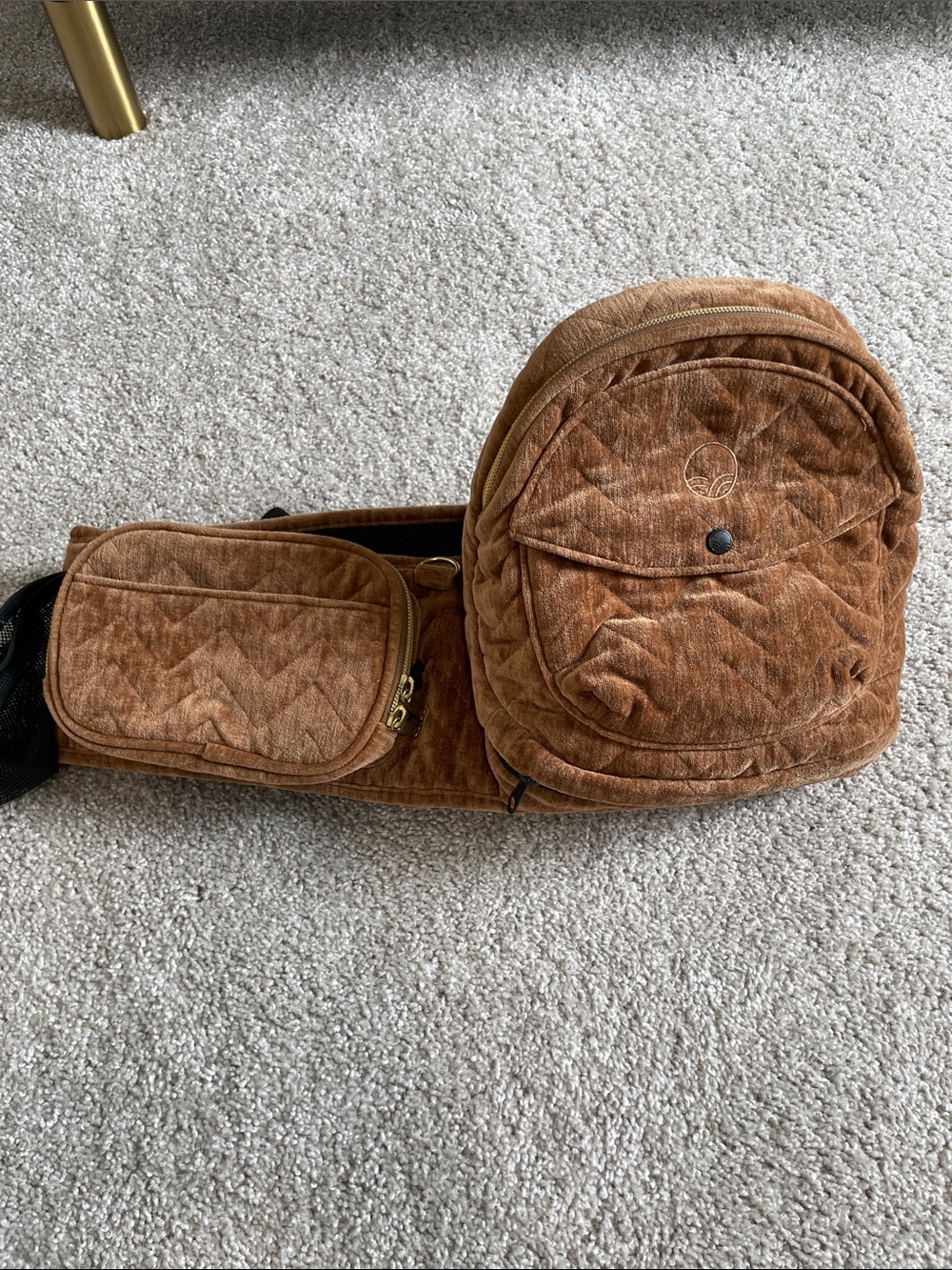 Tushbaby Hip Carrier